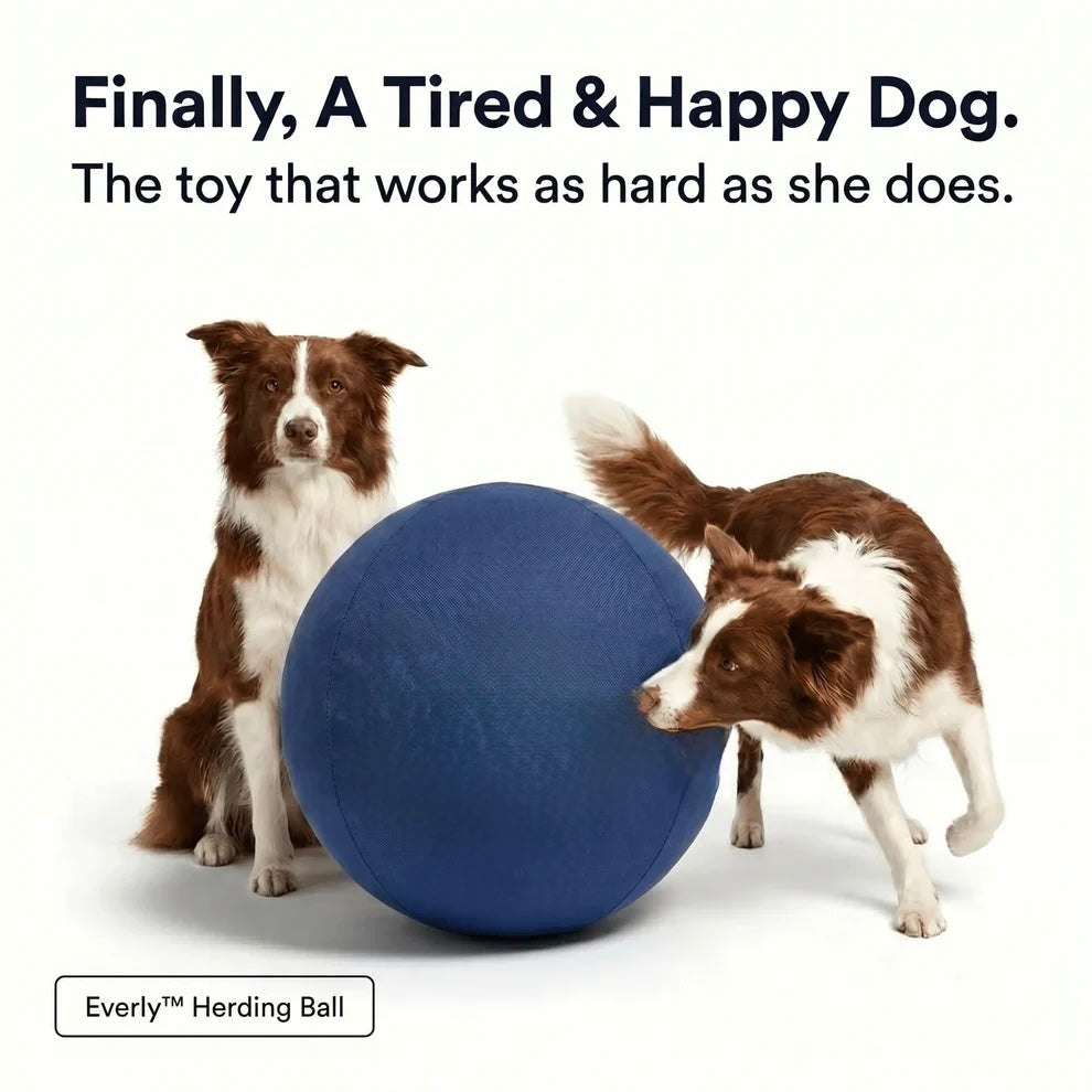 Herding Ball