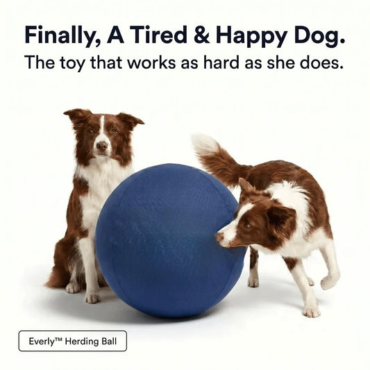 Herding Ball