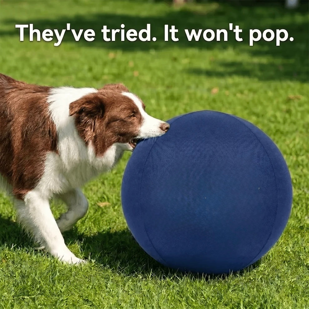 Herding Ball