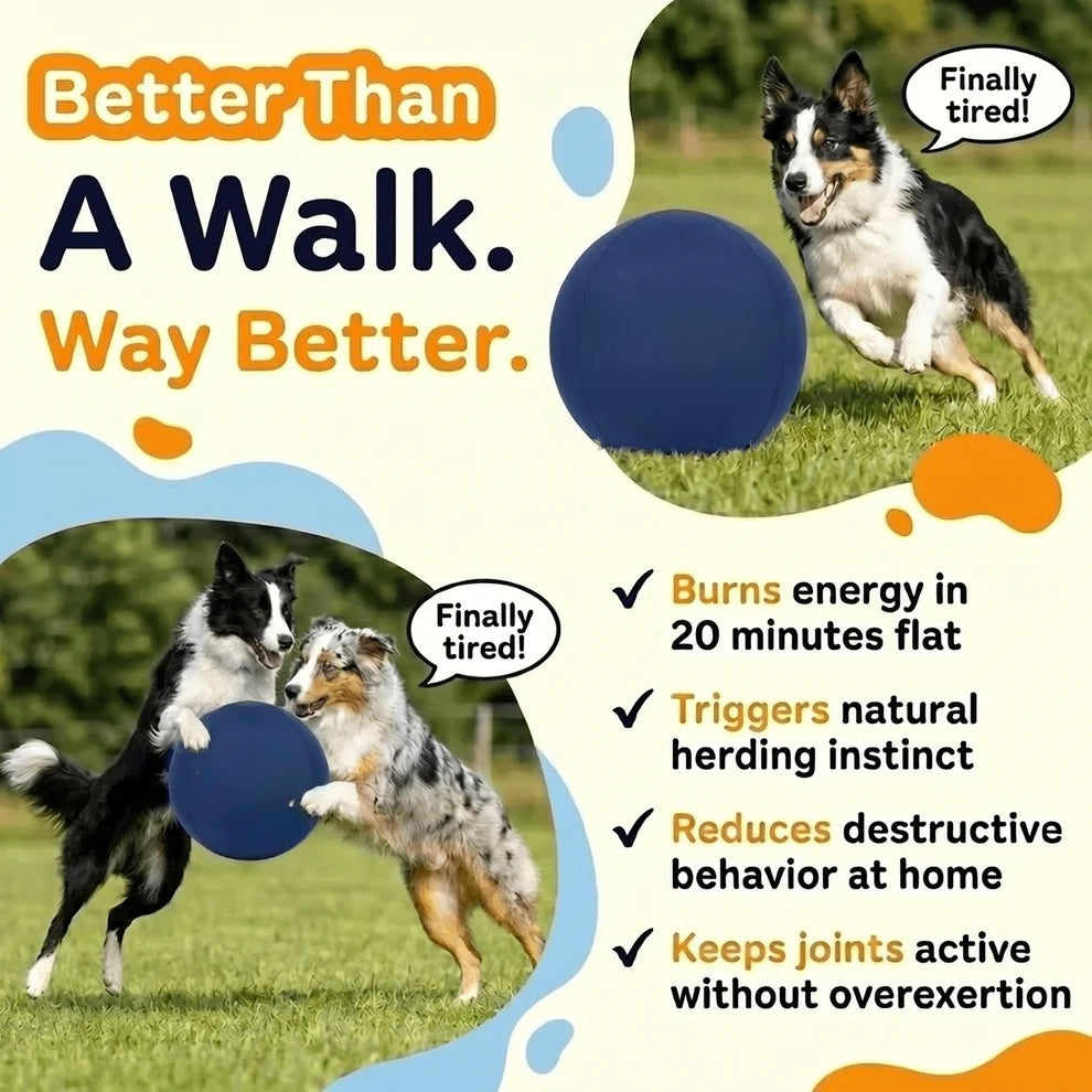 Herding Ball