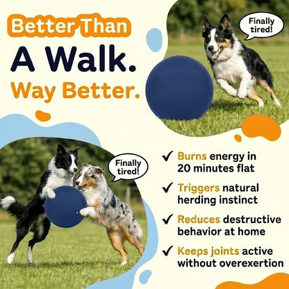 Herding Ball